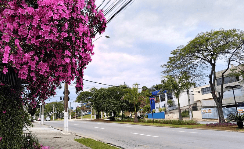 Imagem da avenida Jundiaí com ângulo apontado para o céu.