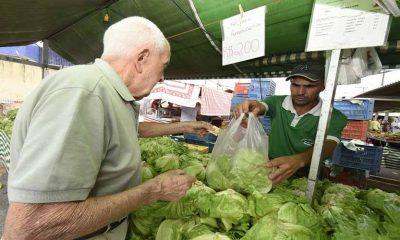 idoso comprando alfaces de feirante, que lhe entrega a sacola durante a feira