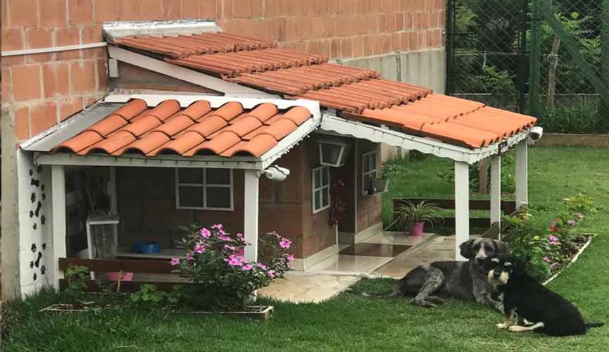 casinha de cachorros com telhado, janelas, varanda e jardim e dois cachorros deitados ao lado olhando para a foto