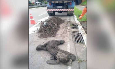 bicho de pelúcia de 80 centímetros sujo após ser tirado de dentro do bueiro. ao lado dele, a sujeira retirada do bueiro, co um caminhão de coleta de lixo a frente