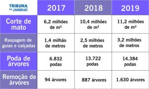 Tabela com valores absolutos dos serviços