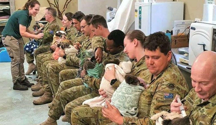 Foto de soldados abraçados com filhotes de coalas