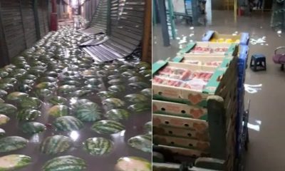 Foto de melancias e caixas de morango boiando em água de enchente em SP