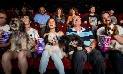 pessoas com cachorros em cinema