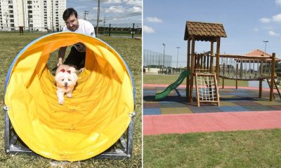 Foto de cachorro em brinquedo, à direita; foto de playground, à esquerda