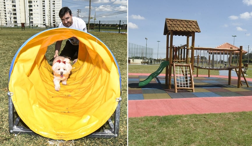 Foto de cachorro em brinquedo, à direita; foto de playground, à esquerda