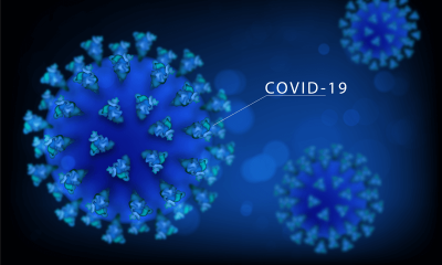 Estrutura viral do Covid-19