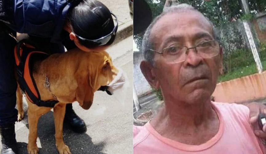 Foto de cão farejador, à esquerda; foto de idoso, à direita