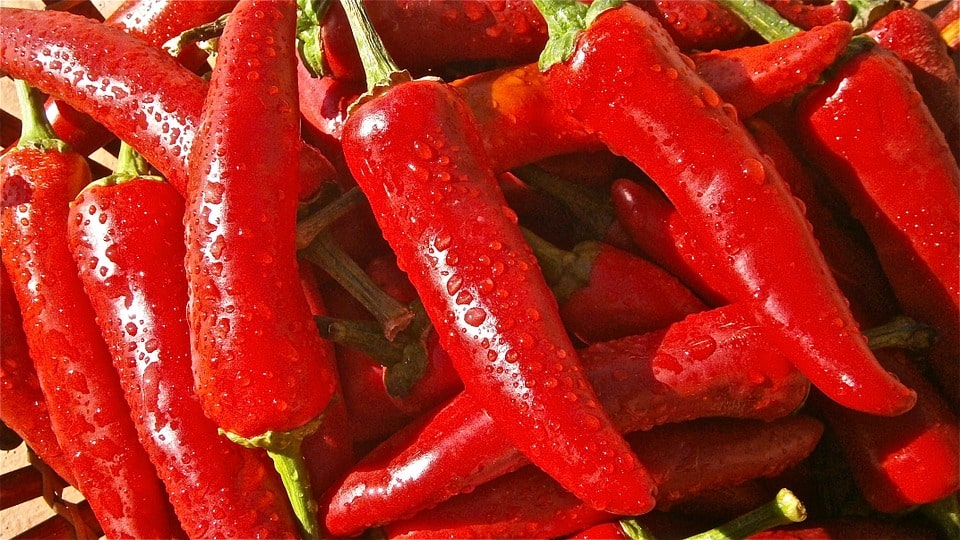 Foto de pimentas vermelhas