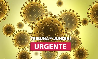 Estrutura viral