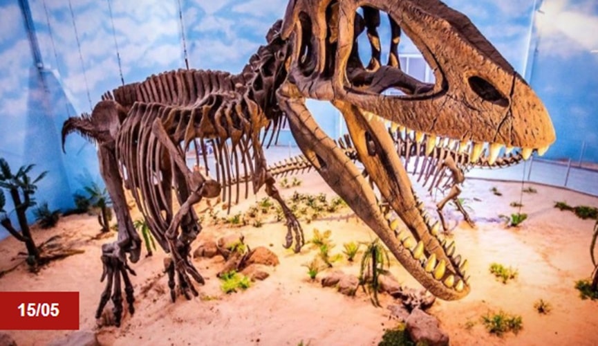 Foto de esqueleto de dinossauro