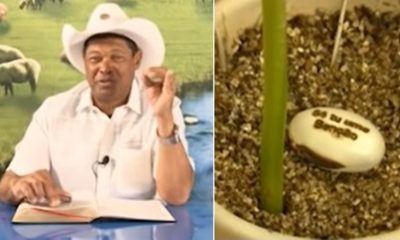 Foto de pastor, à esquerda; foto de semente, à direita