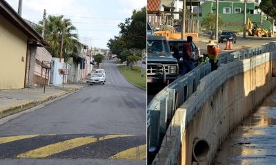 Foto de lombada, à esquerda; foto de defensora, à direita