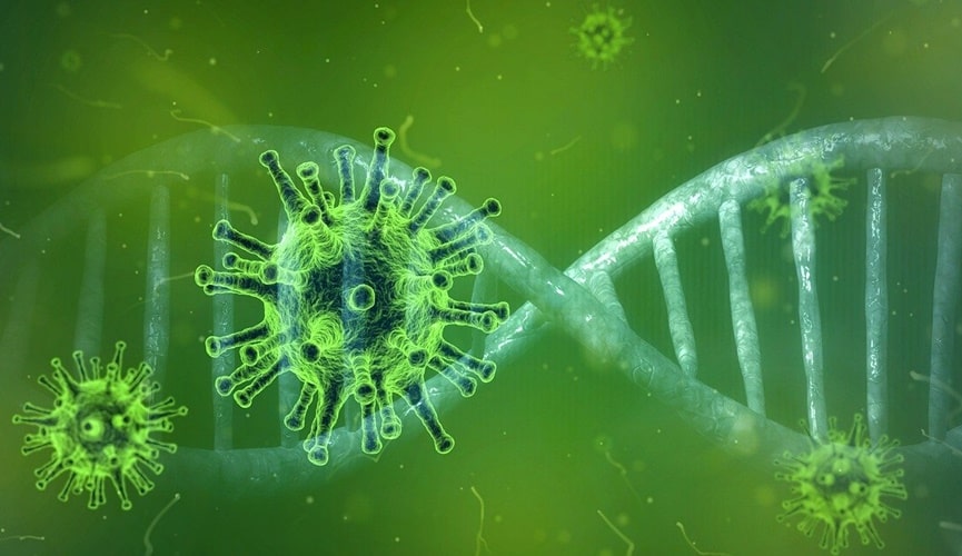 Foto de células e DNA