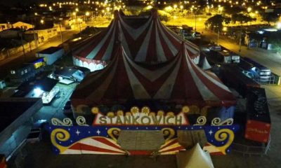 Circo Stancowich fará espetáculos Drive-In em Itupeva. (Foto: Divulgação)