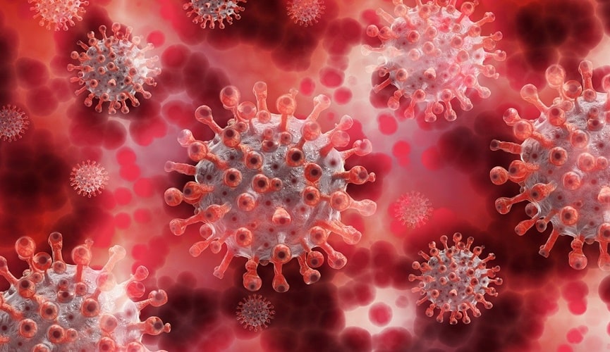 Foto de células do coronavírus