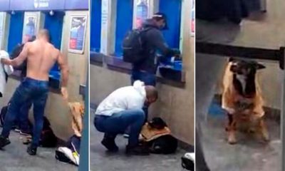 Homem doa camisa para cachorro no metrô Jabaquara. (Foto: Reprodução)