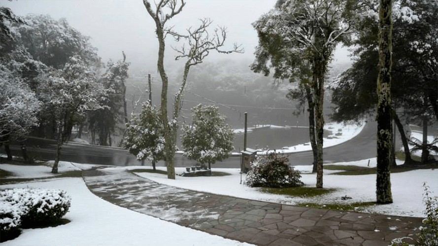 Neve em Gramado-RS. (Foto: Foto de Cláudio Brandão Ribeiro)
