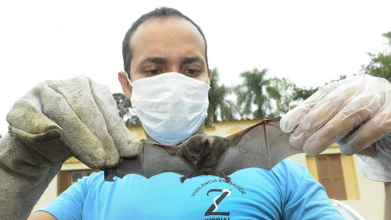 Homem segurando morcego