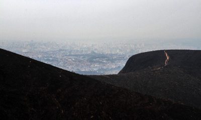 Morro do Mursa após o incêndio. (Foto: Mauro Utida)