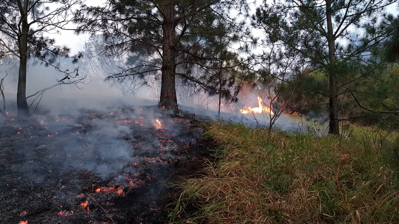 Registro de incêndio que atingiu a Serra do Japi