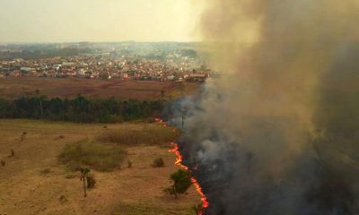 Incêndio no Pantanal. (Foto: Divulgação)