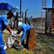 Agentes retirando lixo da Serra do Mursa