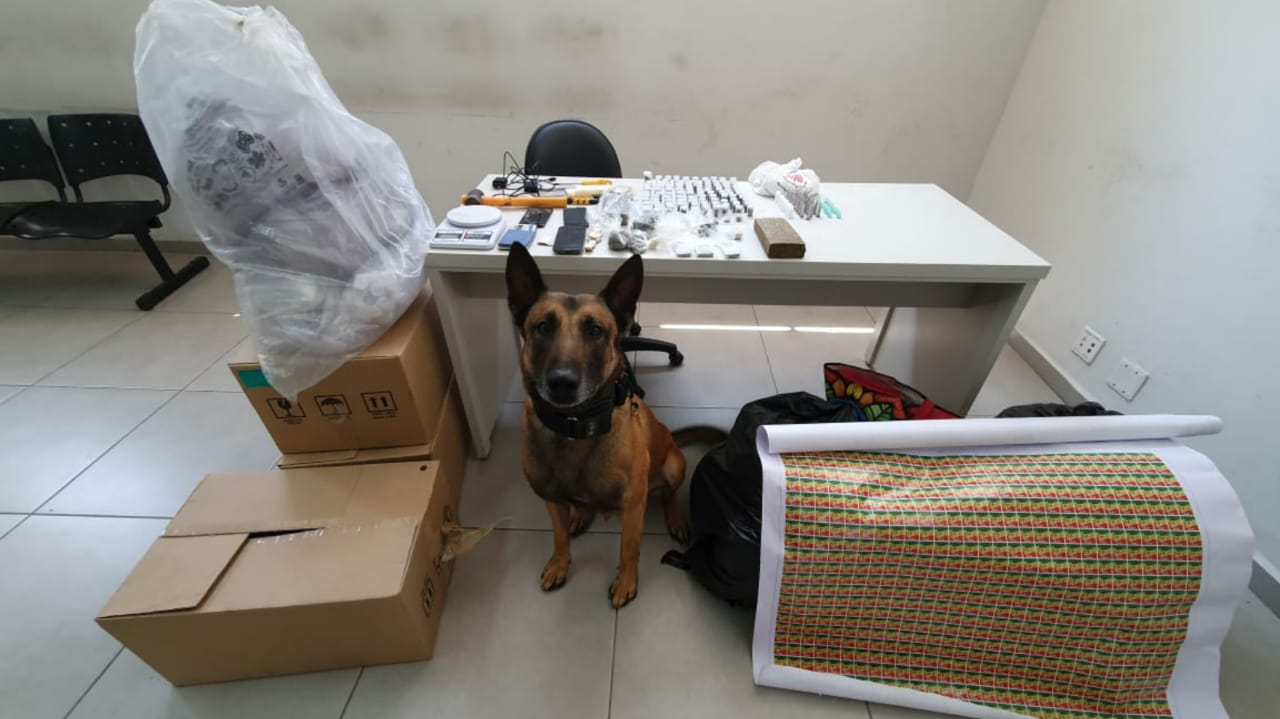 Cão do Canil da GM de Jundiaí em frente à mesa com apreensão de drogas
