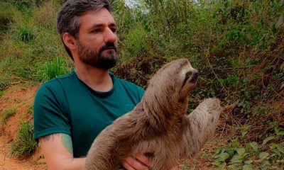 Guilherme Penteado salva bicho-preguiça. (Foto: Divulgação)