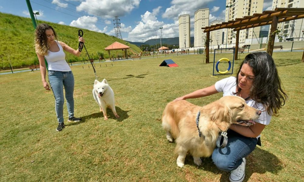 Mulheres brincando com cachorro em parque de Jundiaí
