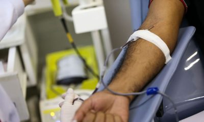 Doação de sangue na pandemia. (Foto: Agência Brasil)