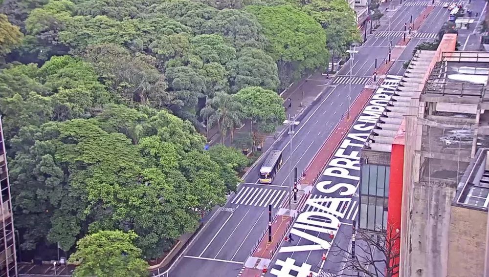 Coletivo artístico pinta a frase "Vidas Pretas Importam" na Avenida Paulista, em São Paulo