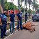 Égua morre na avenida 9 de Julho. (Foto: Divulgação/Leandro Palmarini)
