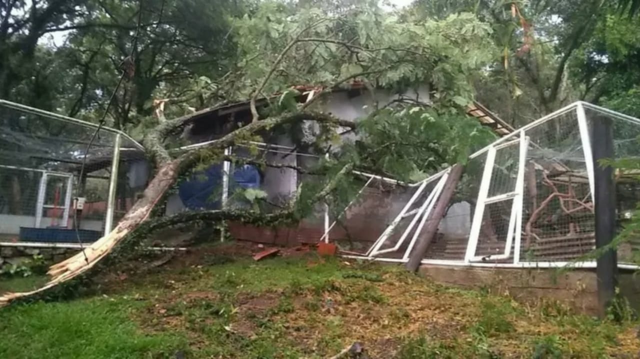 Abrigo de ONG de Jundiaí é destruído após temporal