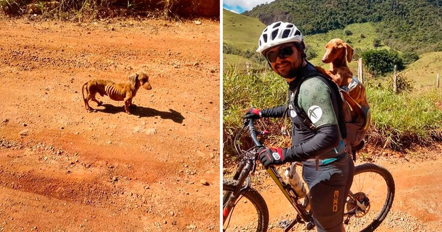 Ciclista adota cachorro. (Foto: Divulgação)