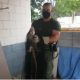 Guardas Florestais resgatam lagarto em condomínio de Jundiaí