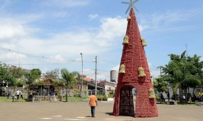 Decoração sustentável de Natal em Várzea Paulista