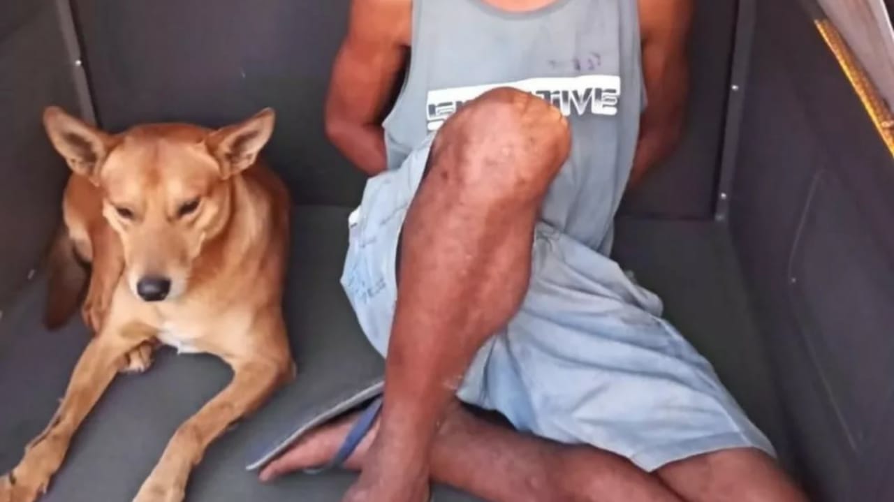 Cachorro entra em viatura durante prisão em Jundiaí