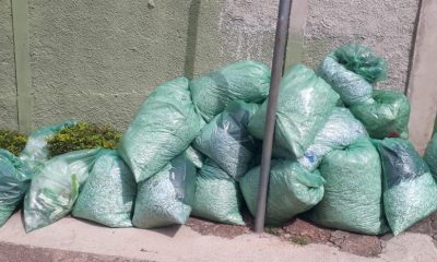 Sacos de lixo com documentos picados da Prefeitura de Louveira