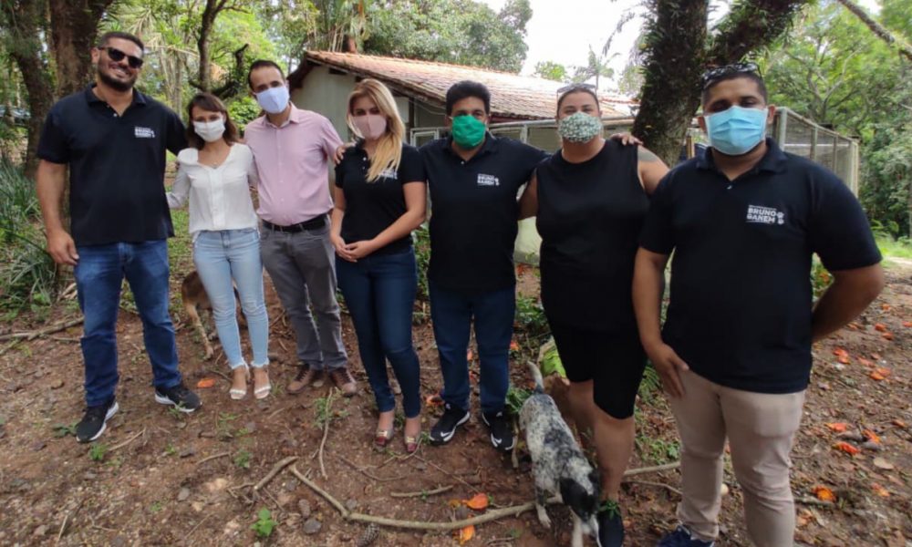 SOS Animais Abandonados irá castrar 500 animais em Jundiaí
