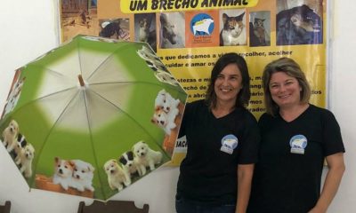 Valéria e Adriana ajudam cerca de 100 animais em Jundiaí com a ONG Maria Chica