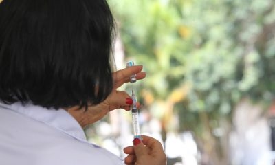 vacinação estado sp