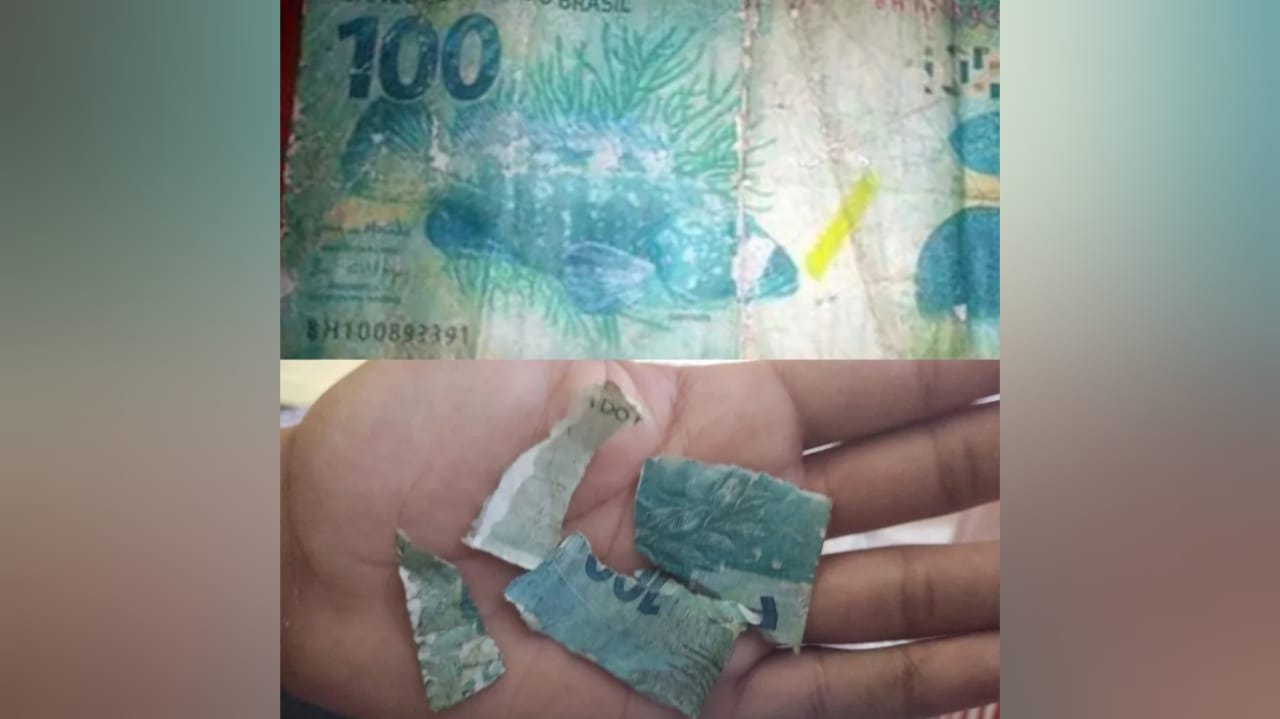 Nota falsa de R$ 100 rasgada