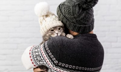 Homem abraçando gato com gorro de frio