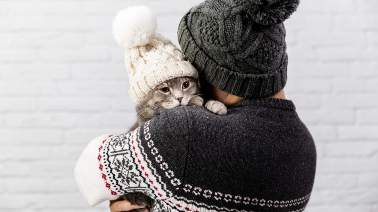 Homem abraçando gato com gorro de frio
