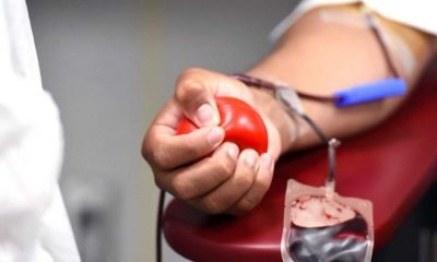 Doação de sangue/medula
