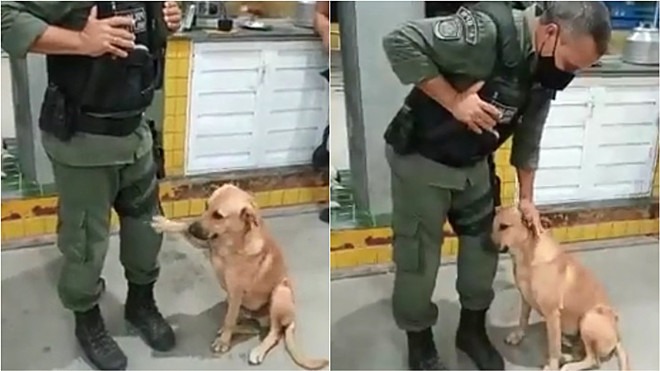 Cachorro pede carinho para policial