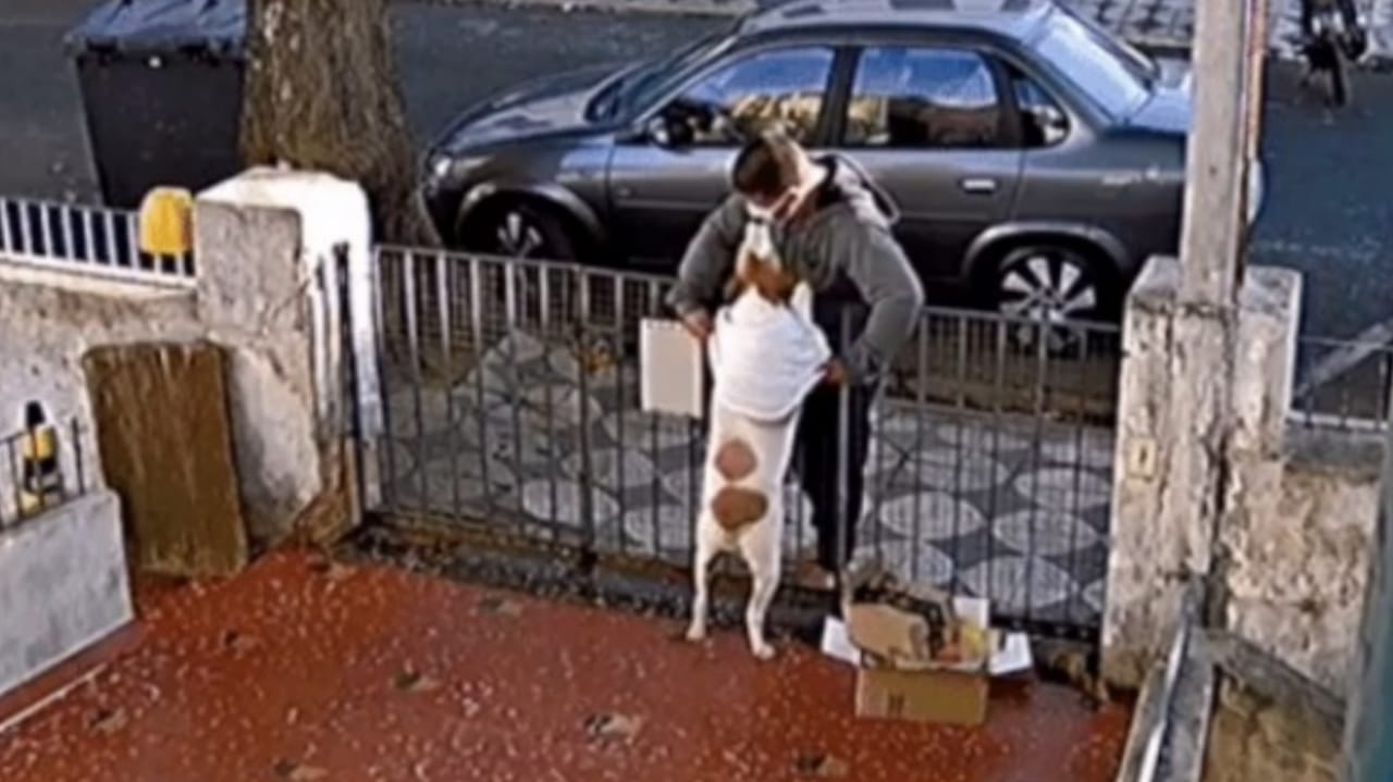 Homem rouba roupinha de cachorro