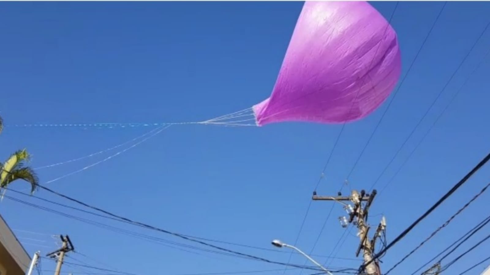 Balão roxo caindo próximo de fios de alta tensão