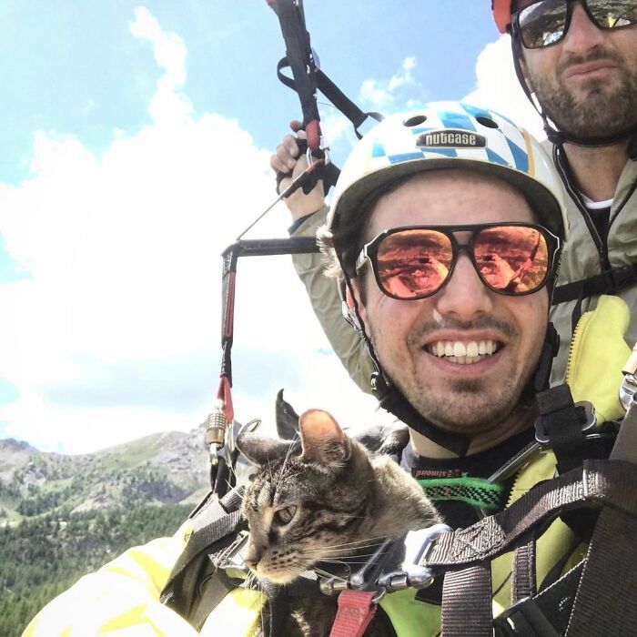 Dois homens com gato em equipamento de skydiving